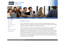 Tablet Screenshot of cssi-usa.com